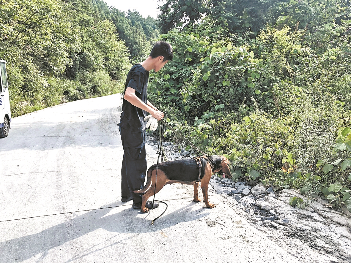 |巴东一惯盗作案后逃入山林 警方发动当地住户一起围堵 两千村民布下密织大网捉住飞贼