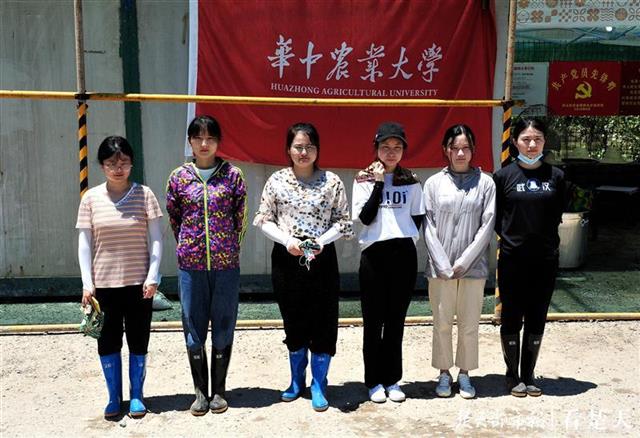 |一顶大草帽，一根长竹竿……武金堤上有群巾帼博士突击队