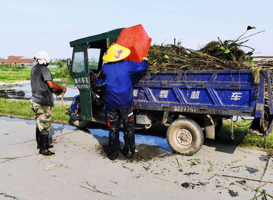 |保护母亲河打造最美长江岸线 监利打捞江面白色垃圾100吨