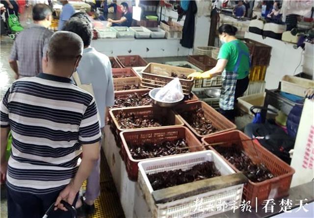 |存塘虾入洞“避暑”难捕，江城的龙虾季提前收尾了