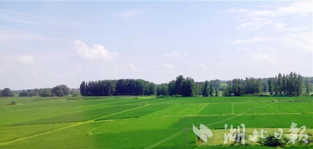 |湖北对乱占耕地建房实行“六个一律” 对顶风违法“零容忍”