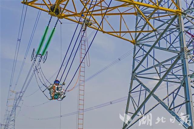|高空中，他纵身抓住500千伏输电线