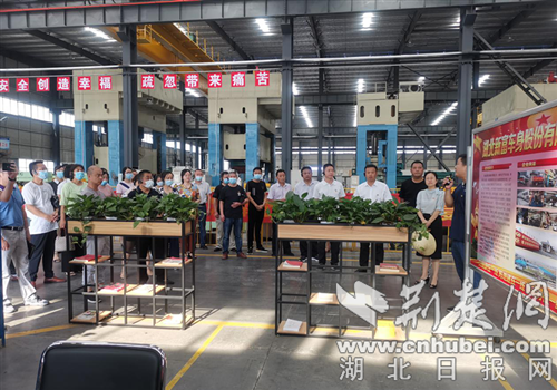 |东津新区组织“两新”党建拉练活动 观摩学习促进步