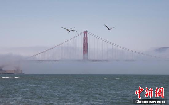 旧金山现雾锁金门大桥美景