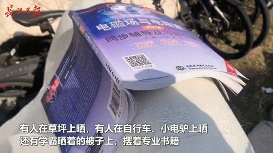 |终于，他们回来了！还上了热搜