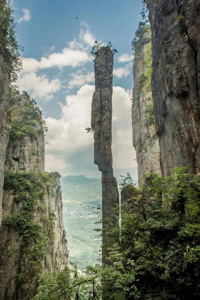 |官方授权发布来了！最新最全，湖北省A级景区免门票名单，附预约入口