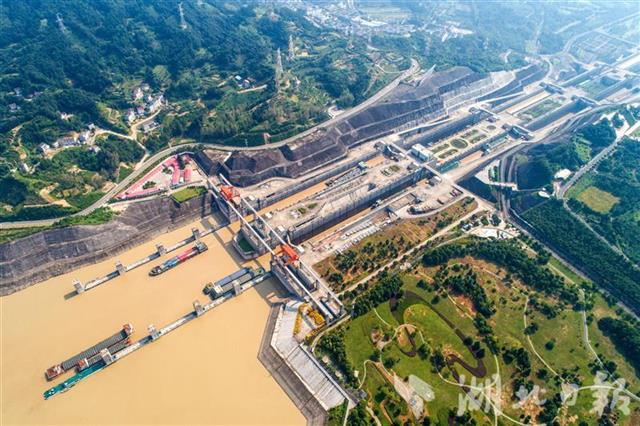 8月28日,船舶从三峡大坝上游闸口有序进出五级船闸.