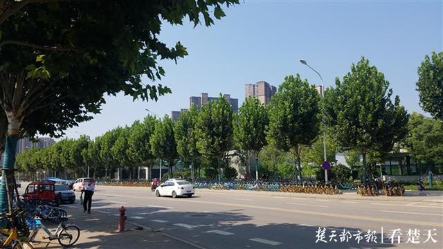 |地铁站出口外停满共享单车，城管人员现场清运