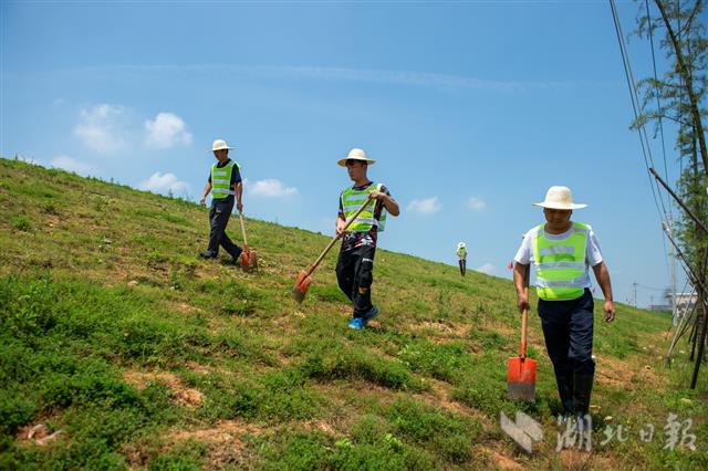 |烈日下，巡堤人坚守防汛一线（组图）