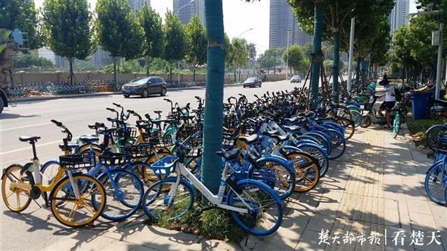 |地铁站出口外停满共享单车，城管人员现场清运