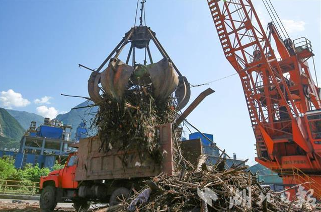 |三峡漂浮物“变身”绿色新能源