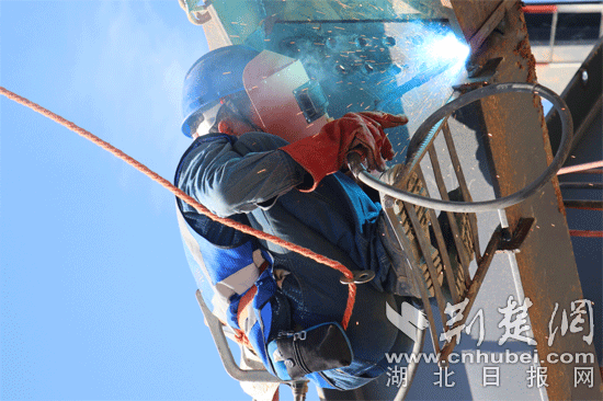 |高温下600名建设者为武汉城市“绿心”挥汗如雨