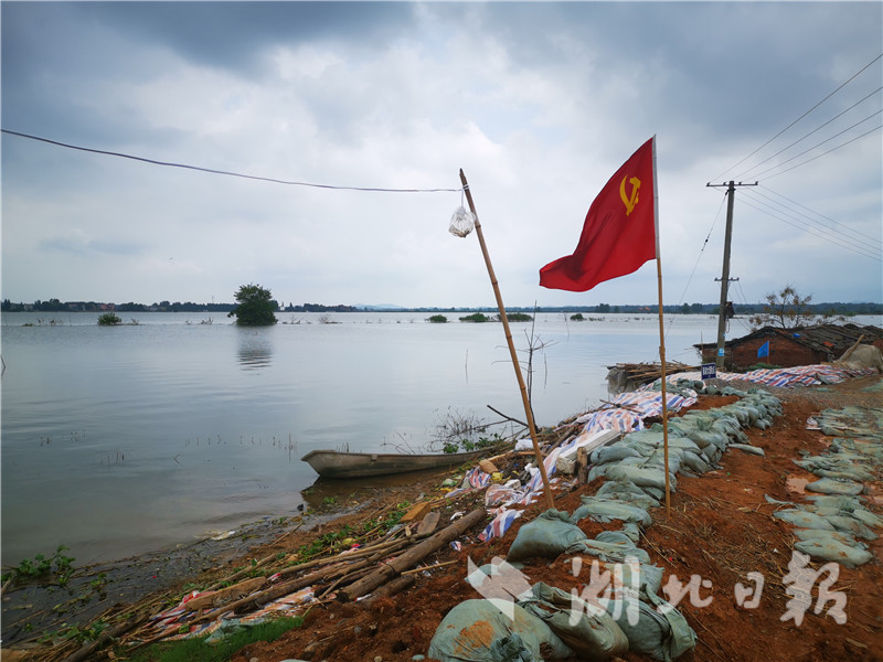 |战地玫瑰——记奋战在防汛一线的姐妹