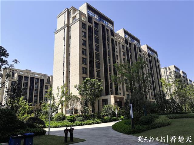 |多位业主拆毁小区绿化建庭院，开发商称权属正在界定中