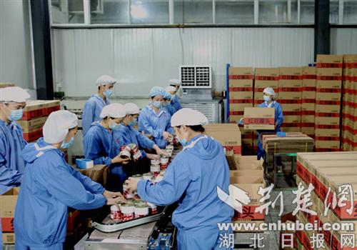 |湖北老河口口碑效应吸引客商纷至沓来