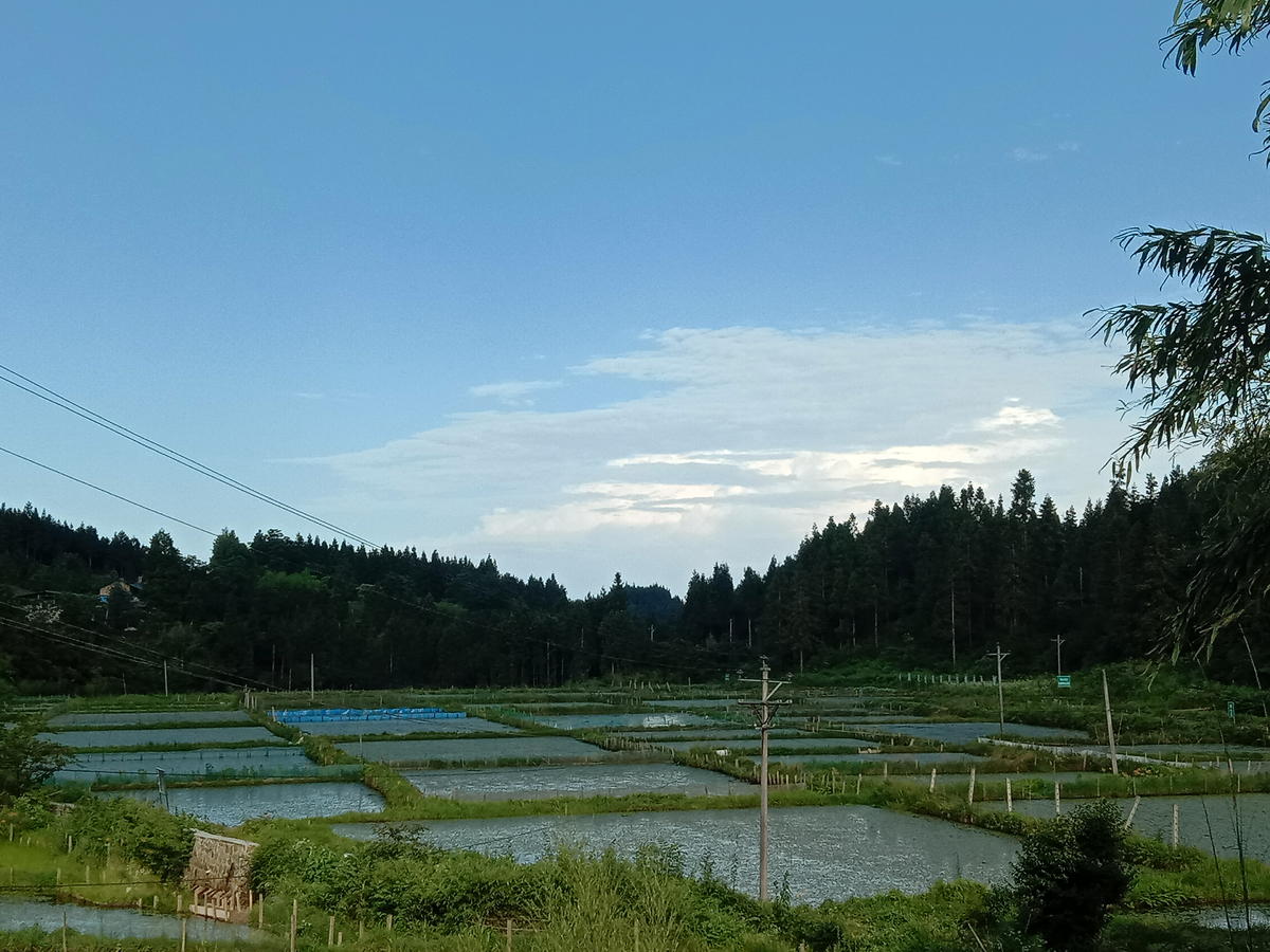 |观美景、品美食，与湖北日报主播一同探幽利川佛宝山！