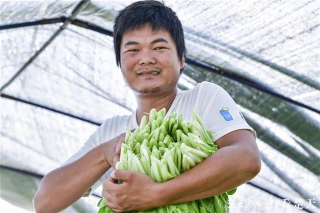 |一棵蔬菜的流通之旅：见过5000多个“凌晨4点的武汉”