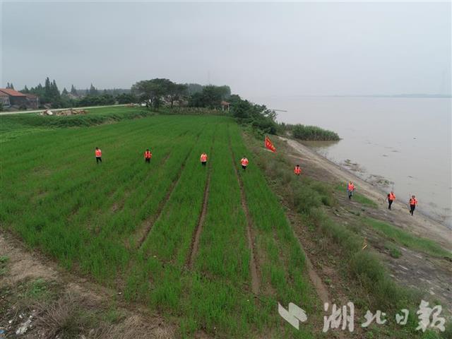 |湖北中小河流已全部退出警戒水位