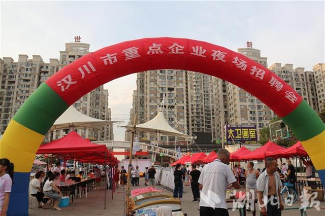 |汉川市举办2020重点企业夜场招聘会