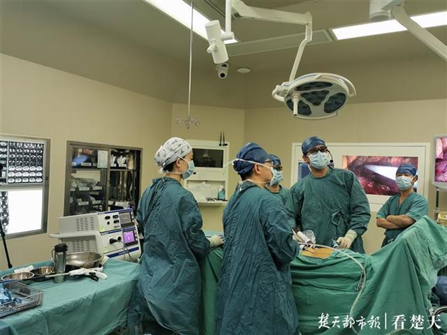 |?15厘米巨大肾癌患者还是“熊猫血”，医生近日“拆弹”成功