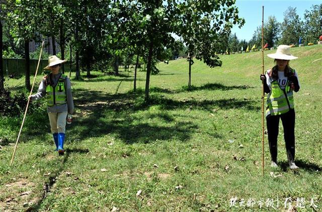 |一顶大草帽，一根长竹竿……武金堤上有群巾帼博士突击队