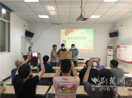 |武昌歌笛湖社区：聚合下沉力量助力社区治理