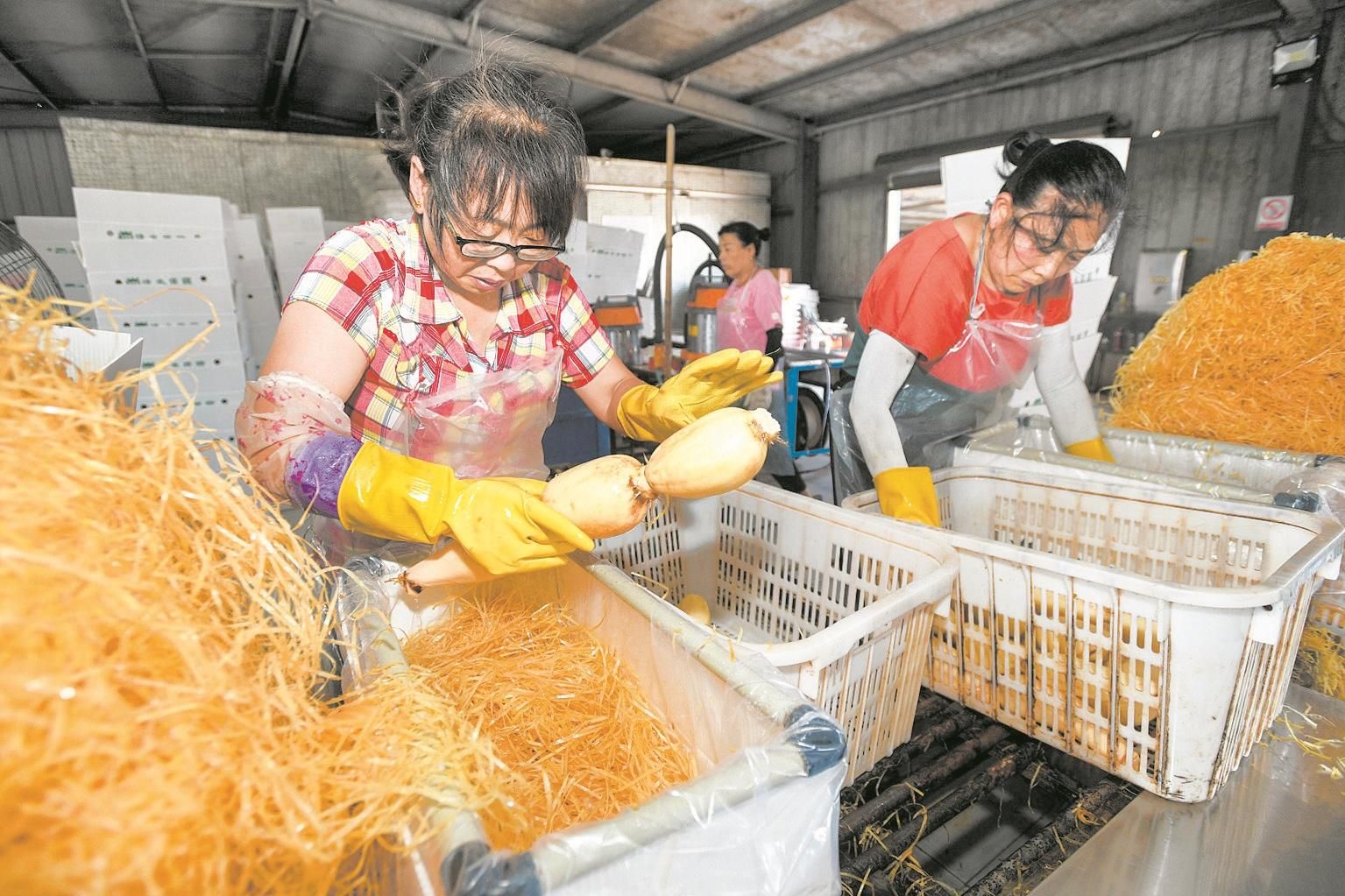 |移民村里的莲藕赛珍珠