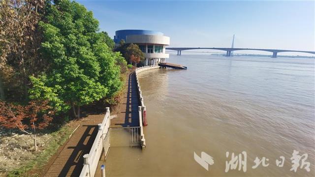 |8月4日14时，长江黄石段退出警戒水位