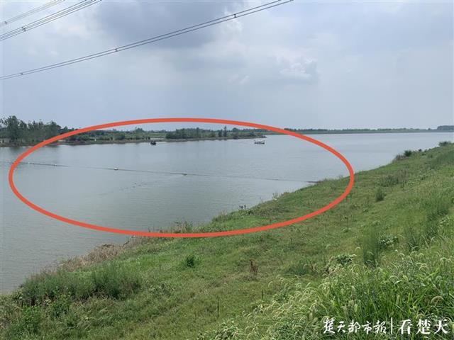 |摊大事了！10人团伙毁灭性捕捞，新洲警方连人带车一锅端