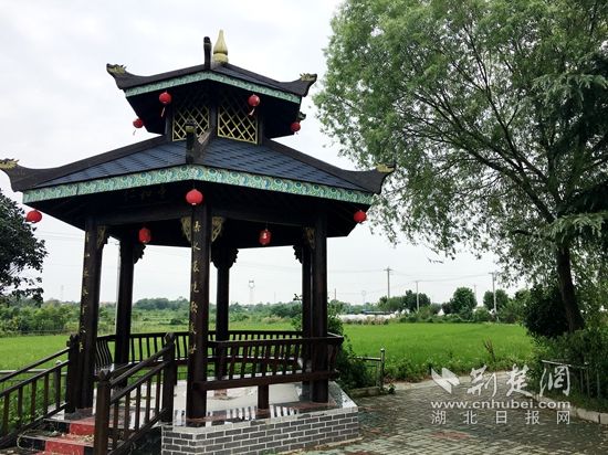 |农村集体产权制度改革的鄂州实践：清理核实资产71.3亿元，持续做大集体经济蛋糕