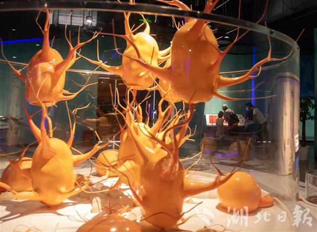 |武汉科技馆里探寻科学奥秘