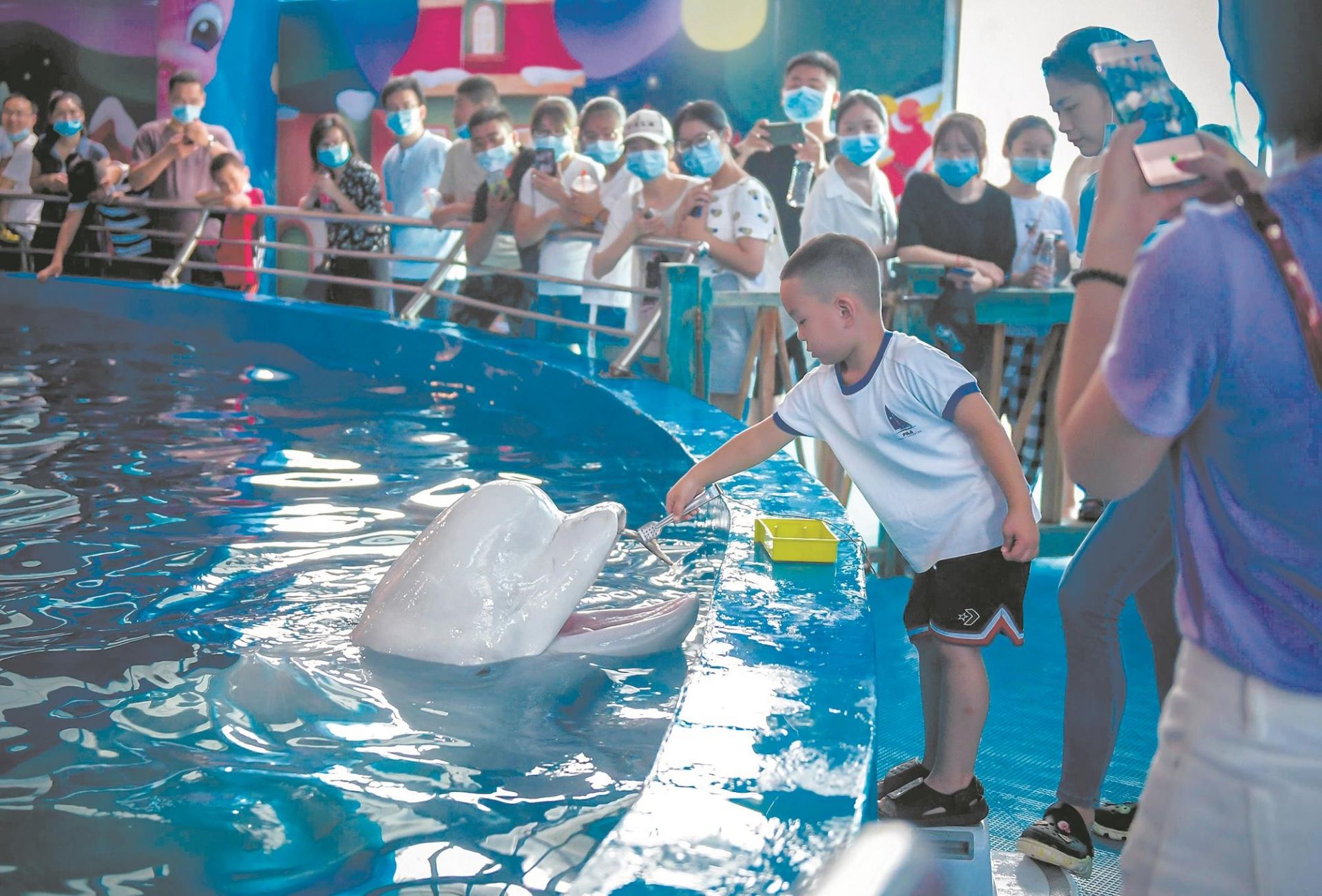 |湖北A级景区免门票首日预约火爆 ?超过1.2万人昨登黄鹤楼