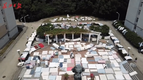 |终于，他们回来了！还上了热搜