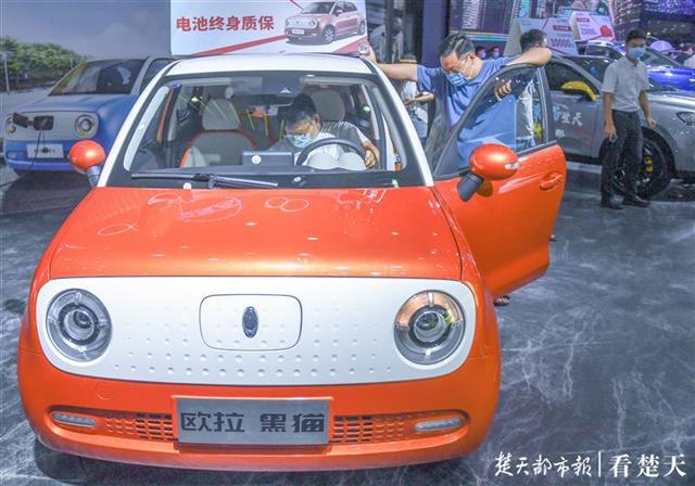 |华中车展第三天，依旧人气爆棚