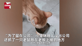 |神评论|今天就如你所愿