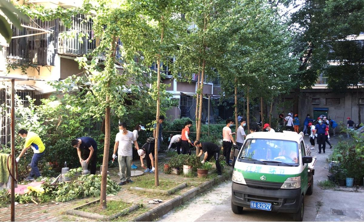 |劳动街道长江委社区开展“下沉党员树先锋 美化家园我先行”党员志愿服务活动