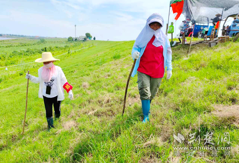 |脱贫不忘感党恩昔日贫困夫妻防汛一线显担当
