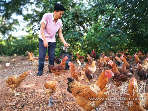 |就业扶贫看鄂州⑷精准脱贫户潘四清：娶了媳妇，买了轿车