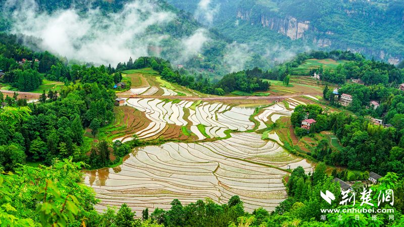 |利川苏马荡打造摄影天堂和创作高地（组图）