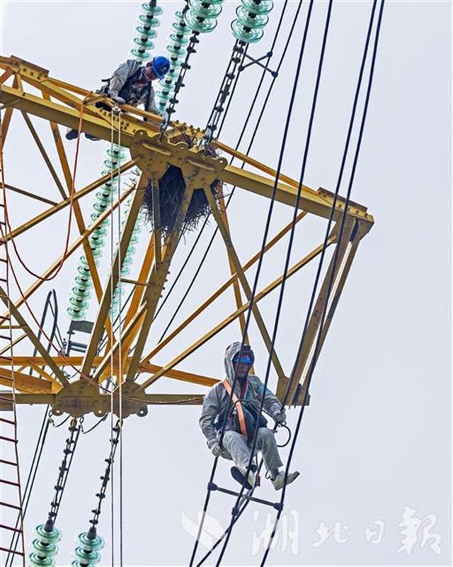|高空中，他纵身抓住500千伏输电线