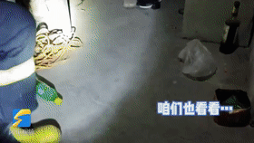 |神评论|这年头当孔雀的门槛都变高了