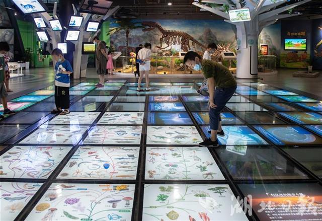 |武汉科技馆里探寻科学奥秘