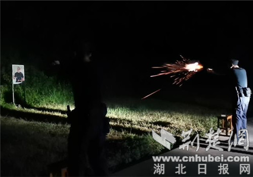 |襄阳特警开展夜间实战化专项训练