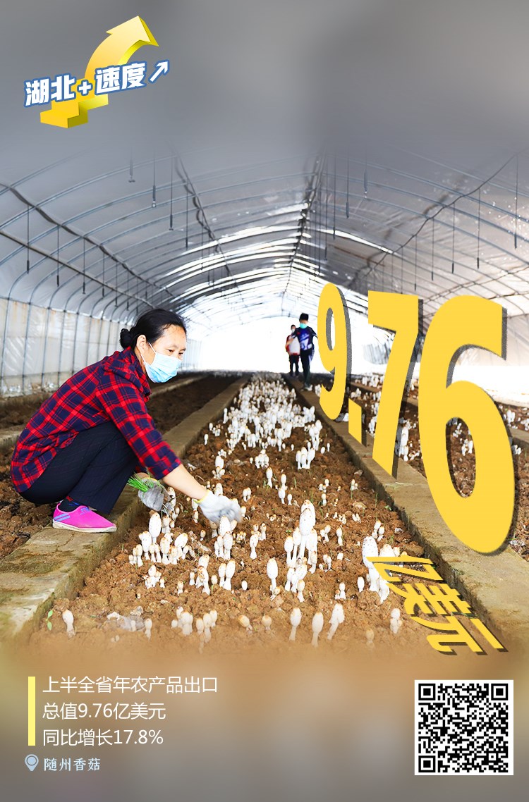|见证：湖北+速度↗