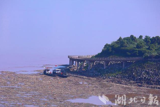 |三峡漂浮物“变身”绿色新能源