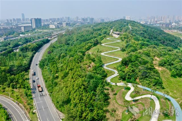 |武汉75座破损山体复绿归来