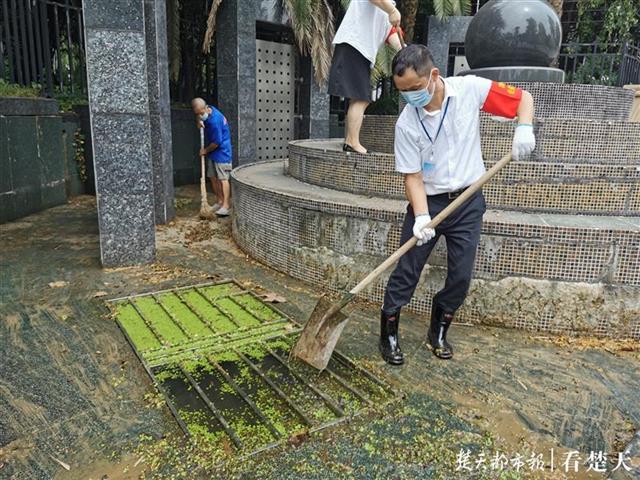 |买菜途中不忘“找茬”！市民巡访团反映的问题，武汉这个区24小时内整改