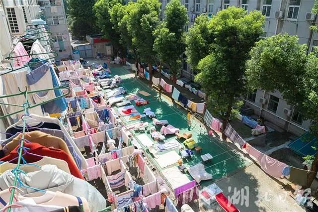 |终于，他们回来了！还上了热搜