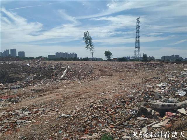 |绿地上改建垃圾分拣站，手续不全居民反对暂停施工