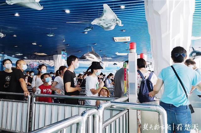 |极地海洋公园免费首日，游客络绎不绝